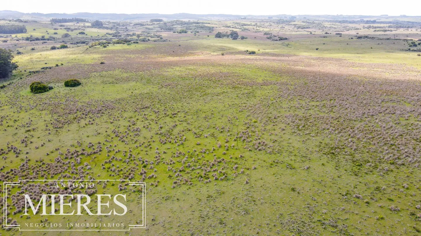 Campo de 77ha en Garzon Maldonado — foto 10
