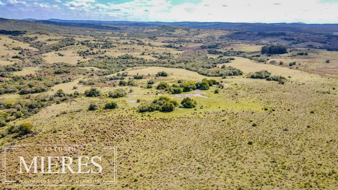 Campo de 77ha en Garzon Maldonado — foto 11