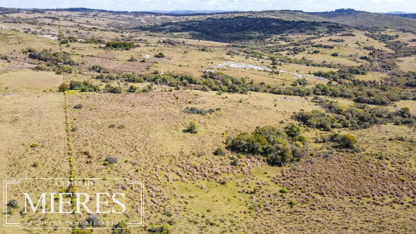 Campo de 77ha en Garzon Maldonado — foto 12