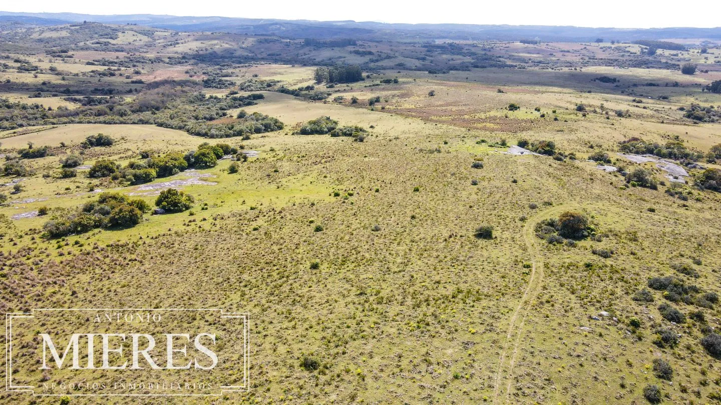 Campo de 77ha en Garzon Maldonado — foto 13
