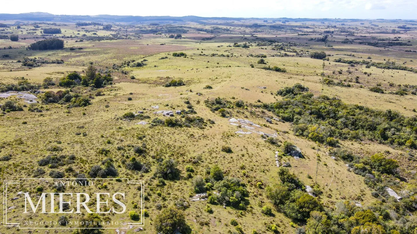 Campo de 77ha en Garzon Maldonado — foto 14