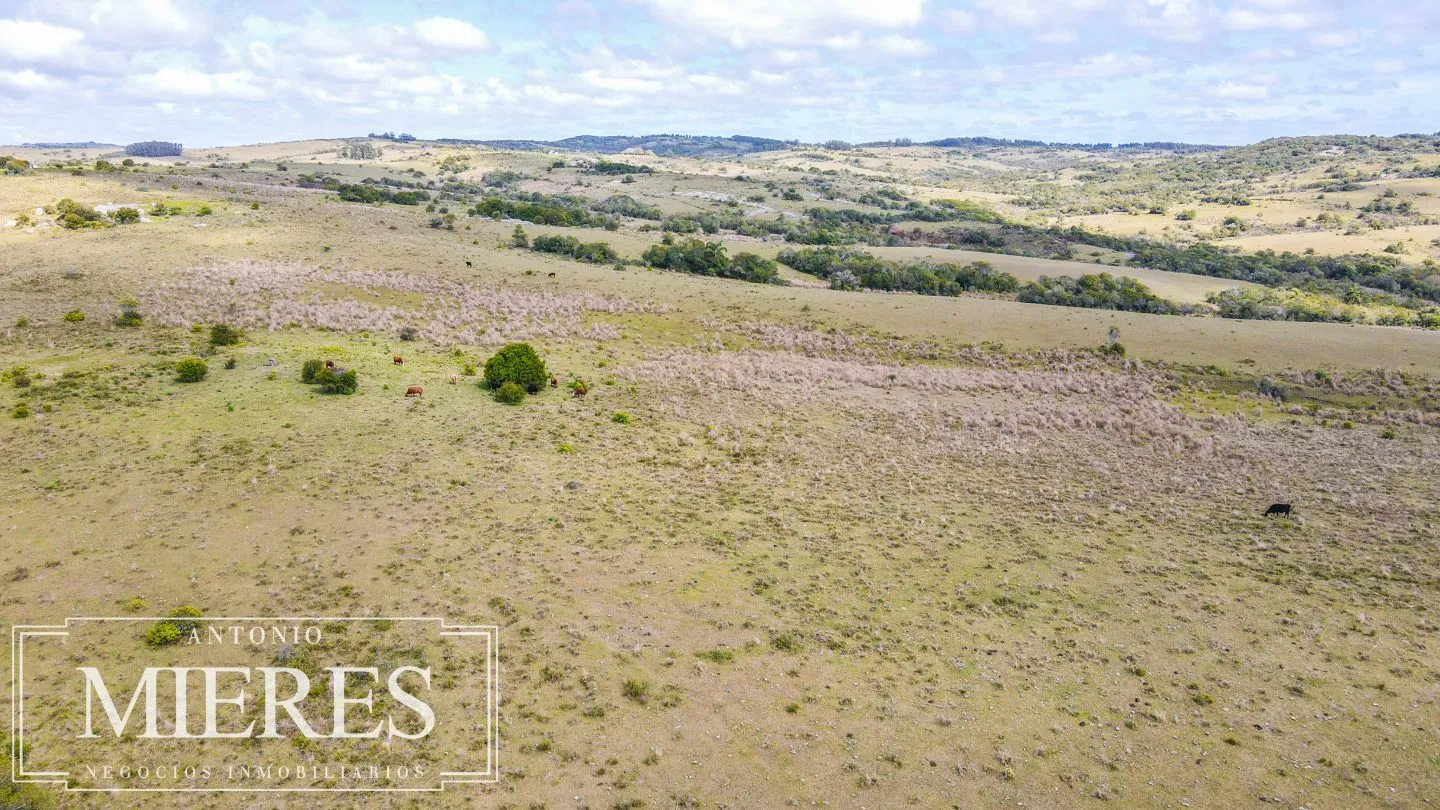 Campo de 77ha en Garzon Maldonado — foto 15