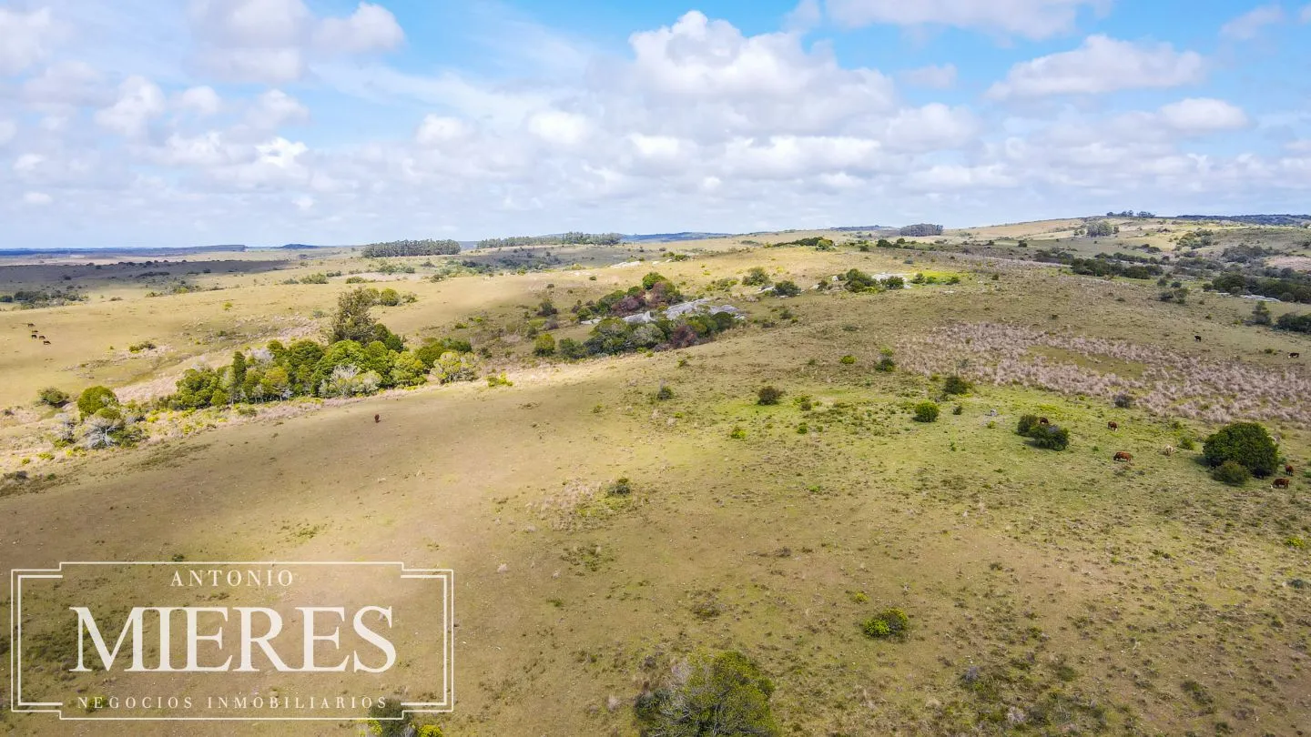 Campo de 77ha en Garzon Maldonado — foto 16