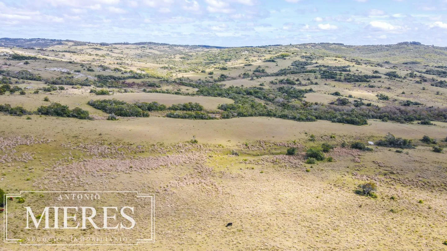 Campo de 77ha en Garzon Maldonado — foto 17