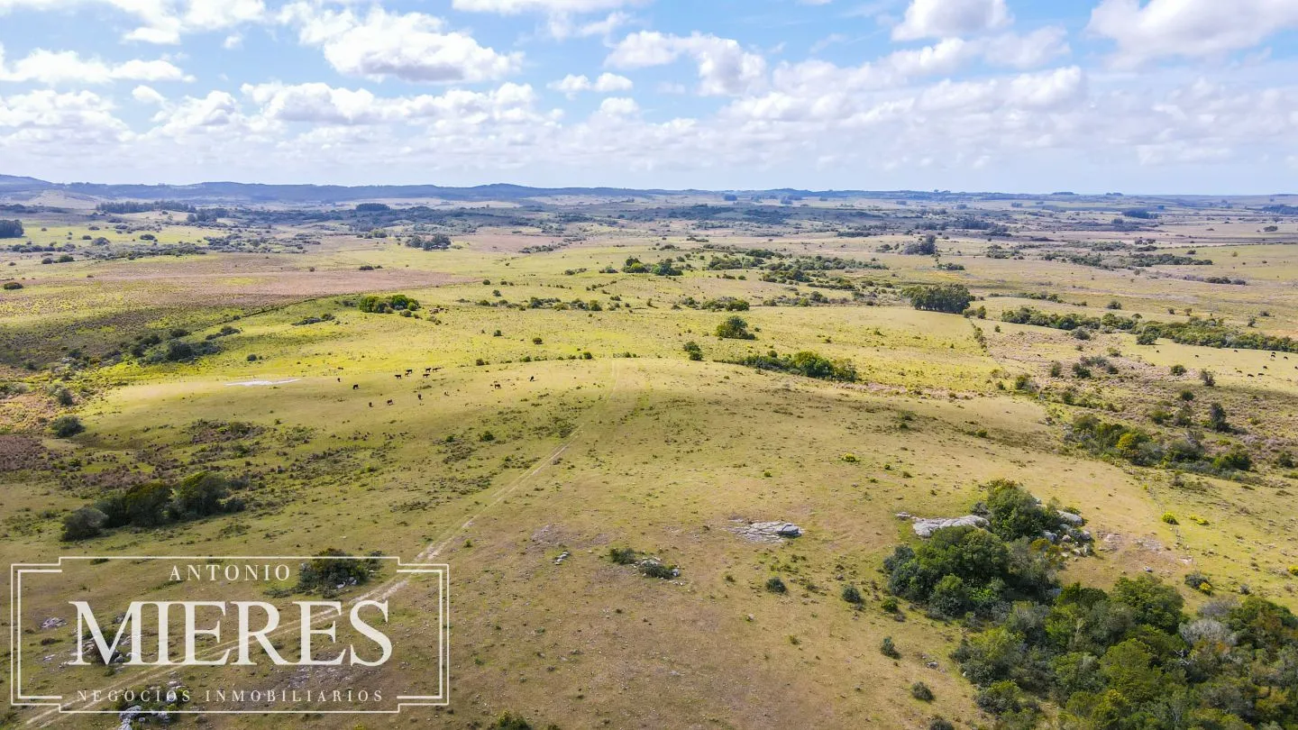 Campo de 77ha en Garzon Maldonado — foto 18