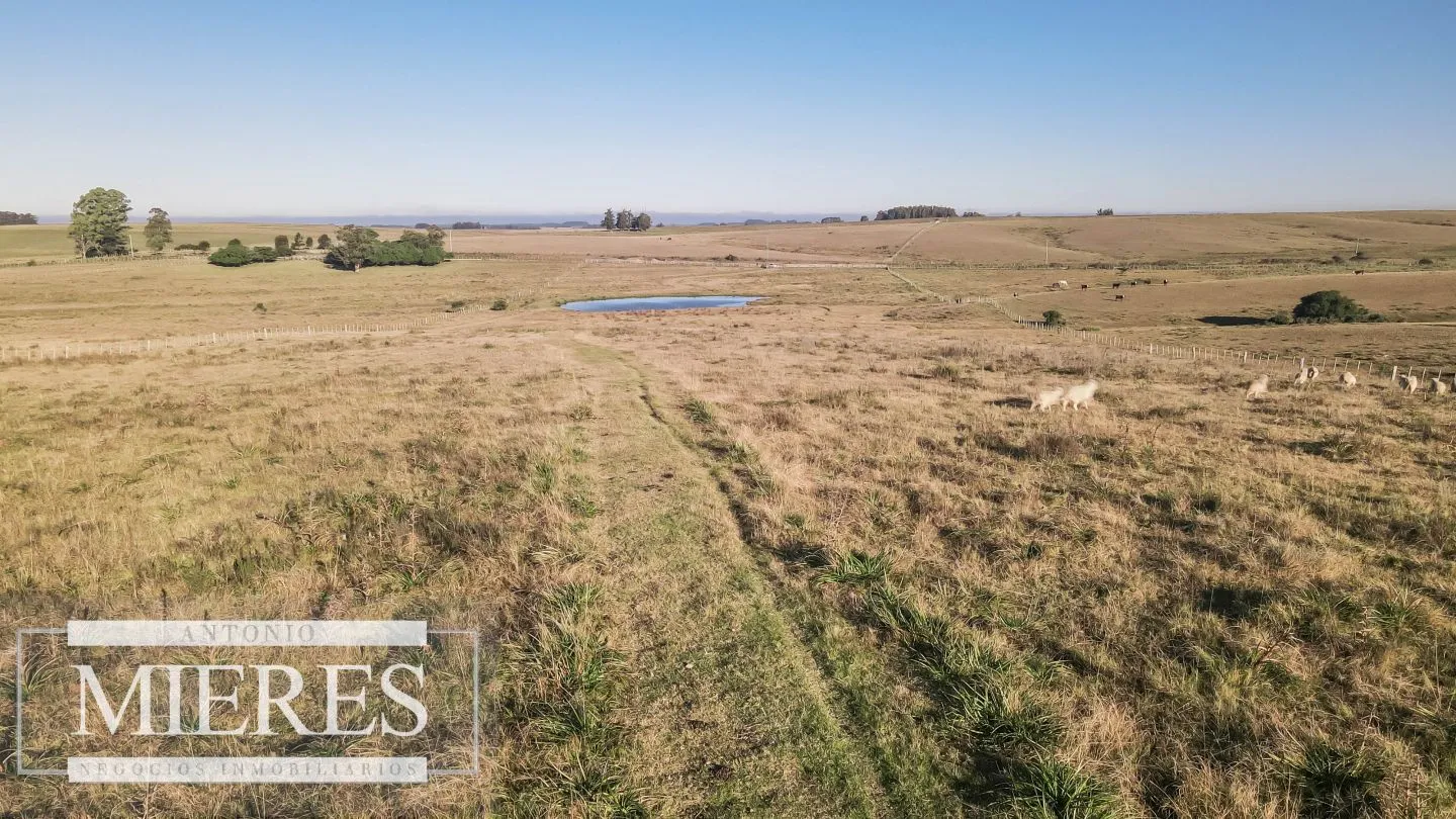 Chacra en venta de 6 ha Garzón con hermoso espejo de Agua — foto 3