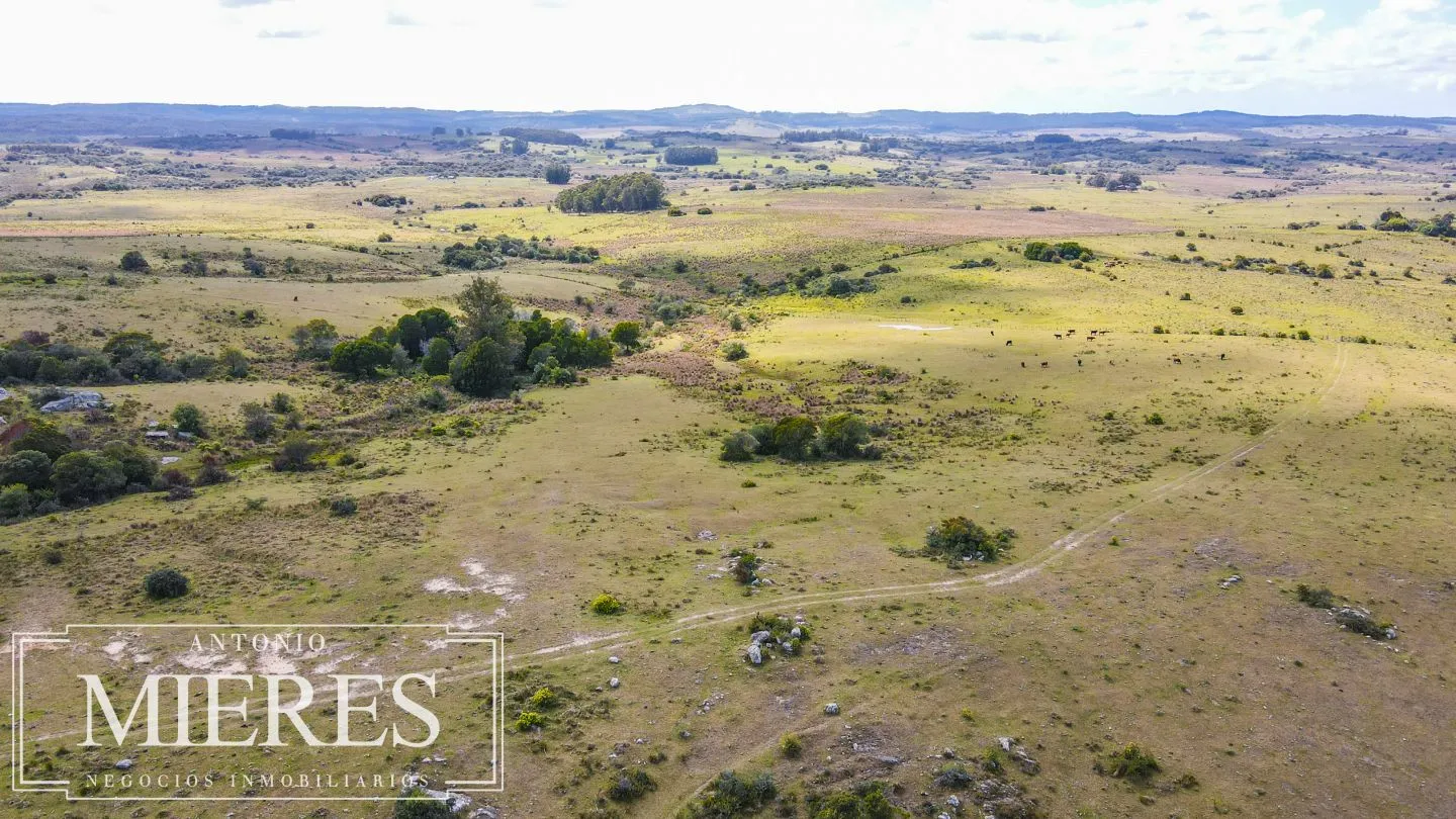 Campo de 77ha en Garzon Maldonado — foto 19