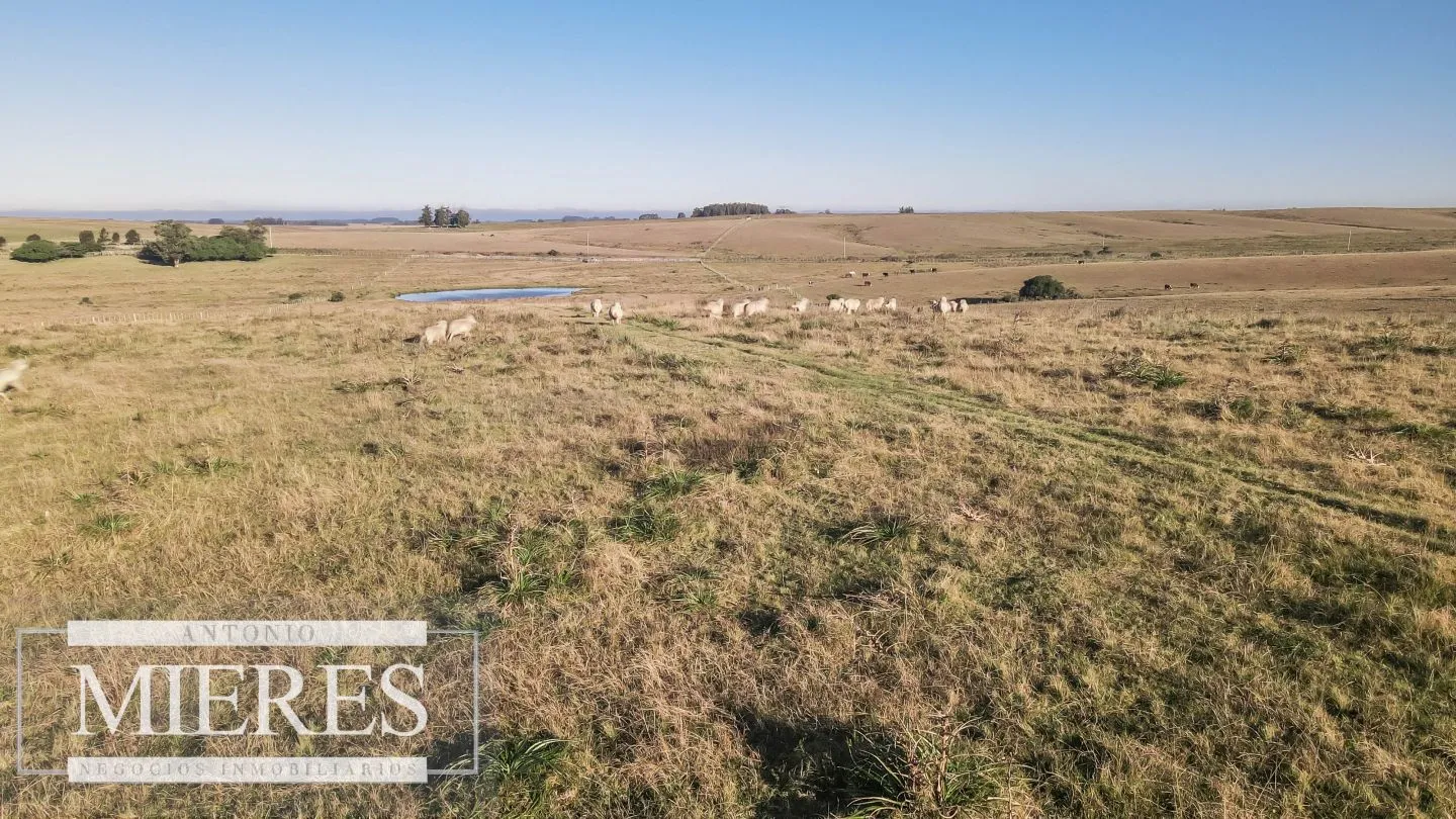 Chacra en venta de 6 ha Garzón con hermoso espejo de Agua — foto 8
