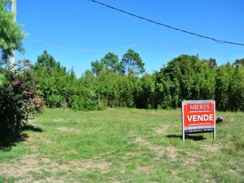 Venta Lote Tío Tom - Punta Ballena