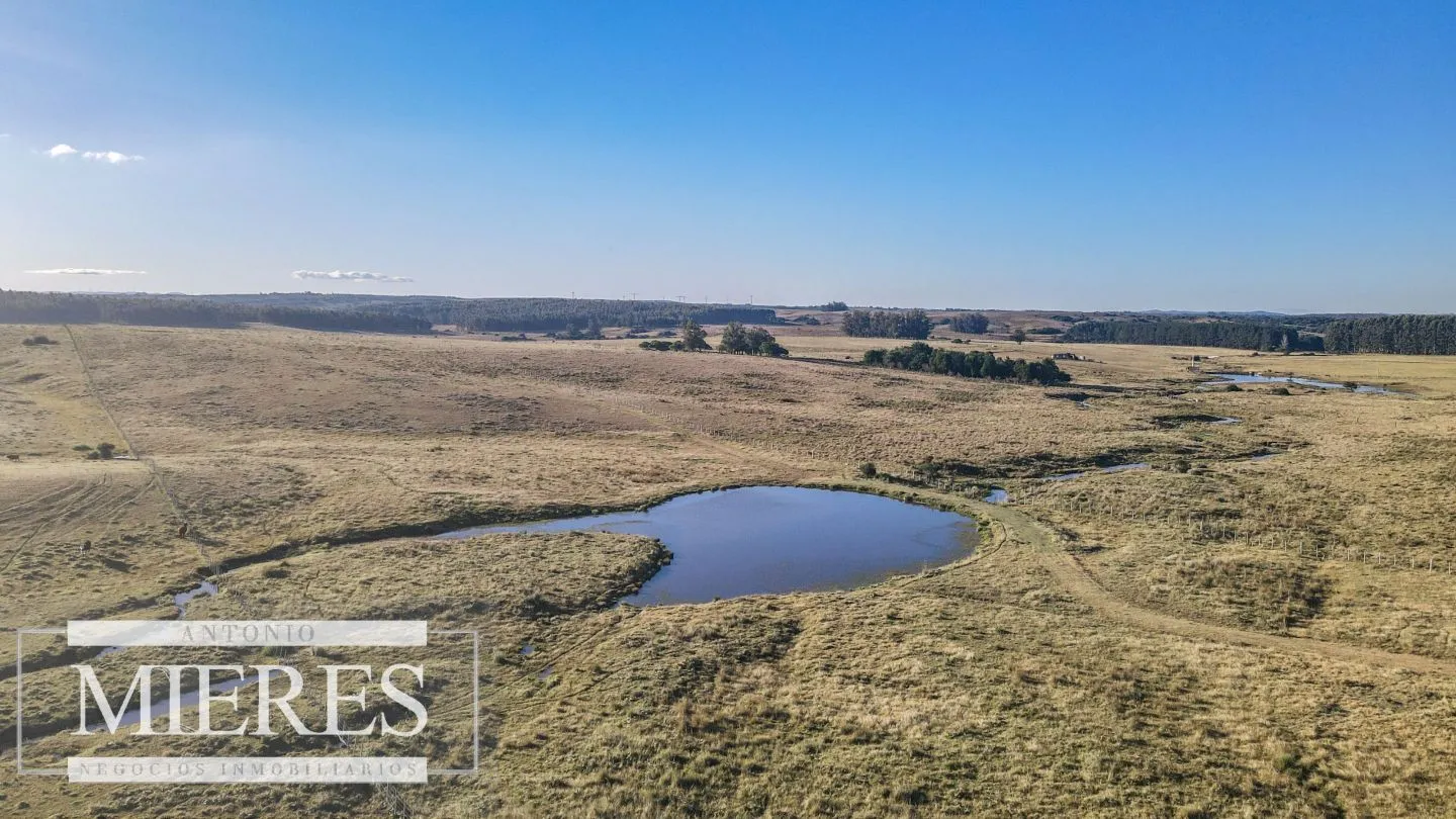 Chacra en venta de 6 ha Garzón con hermoso espejo de Agua — foto 11