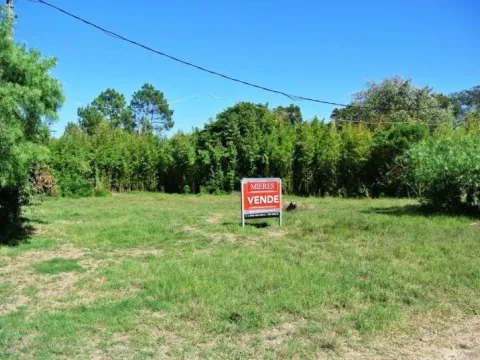 Venta Lote Tío Tom - Punta Ballena — foto 3