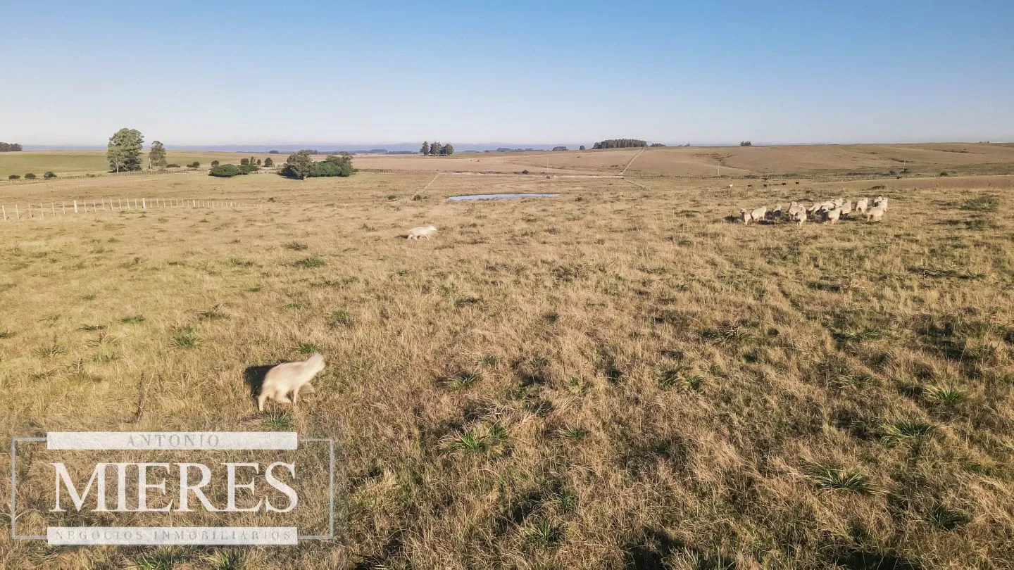 Chacra en venta de 6 ha Garzón con hermoso espejo de Agua — foto 12