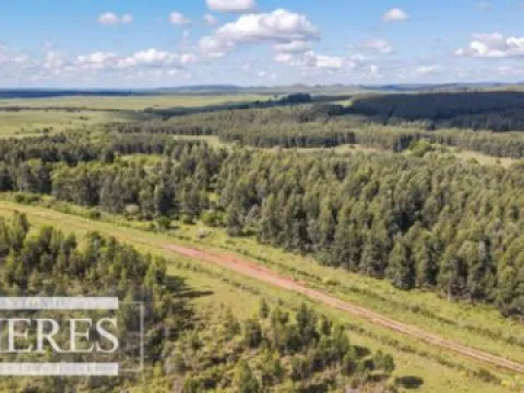 CAMPO EN VENTA EN LAVALLEJA  FORESTAL
