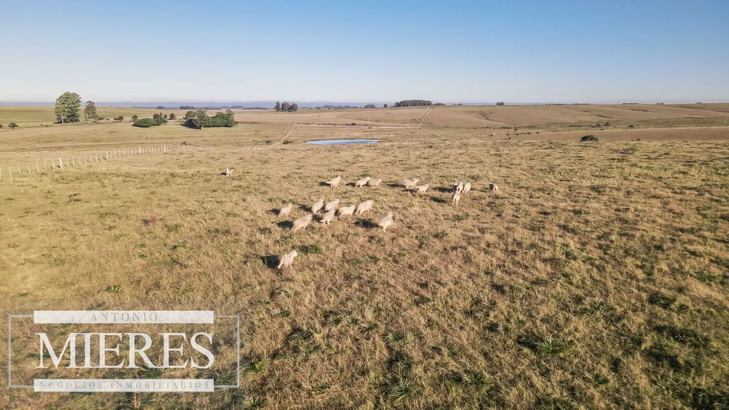 Chacra en venta de 6 ha Garzón con hermoso espejo de Agua — foto 13
