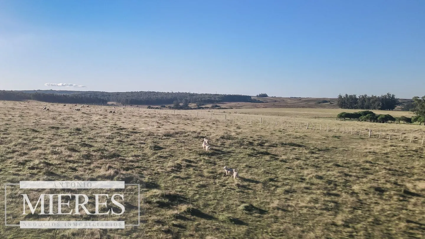 Chacra en venta de 6 ha Garzón con hermoso espejo de Agua — foto 17