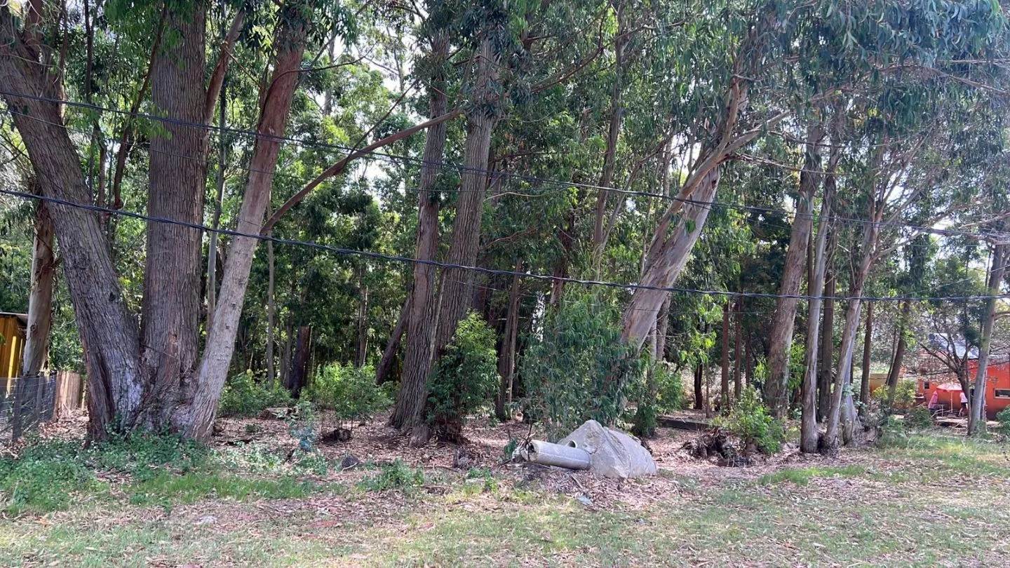 Lote en venta apto para comercio- Ruta Intelbalnearia — foto 1