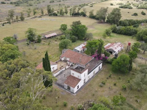 Campo de 1800ha  con casco antiguo Lavalleja