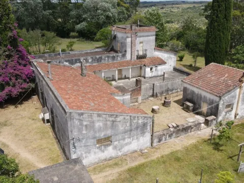 Campo de 1800ha  con casco antiguo Lavalleja — foto 3