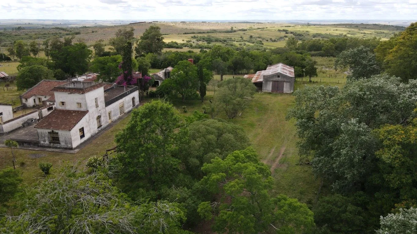 Campo de 1800ha  con casco antiguo Lavalleja — foto 4