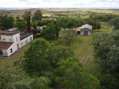 Campo de 1800ha  con casco antiguo Lavalleja — foto 4