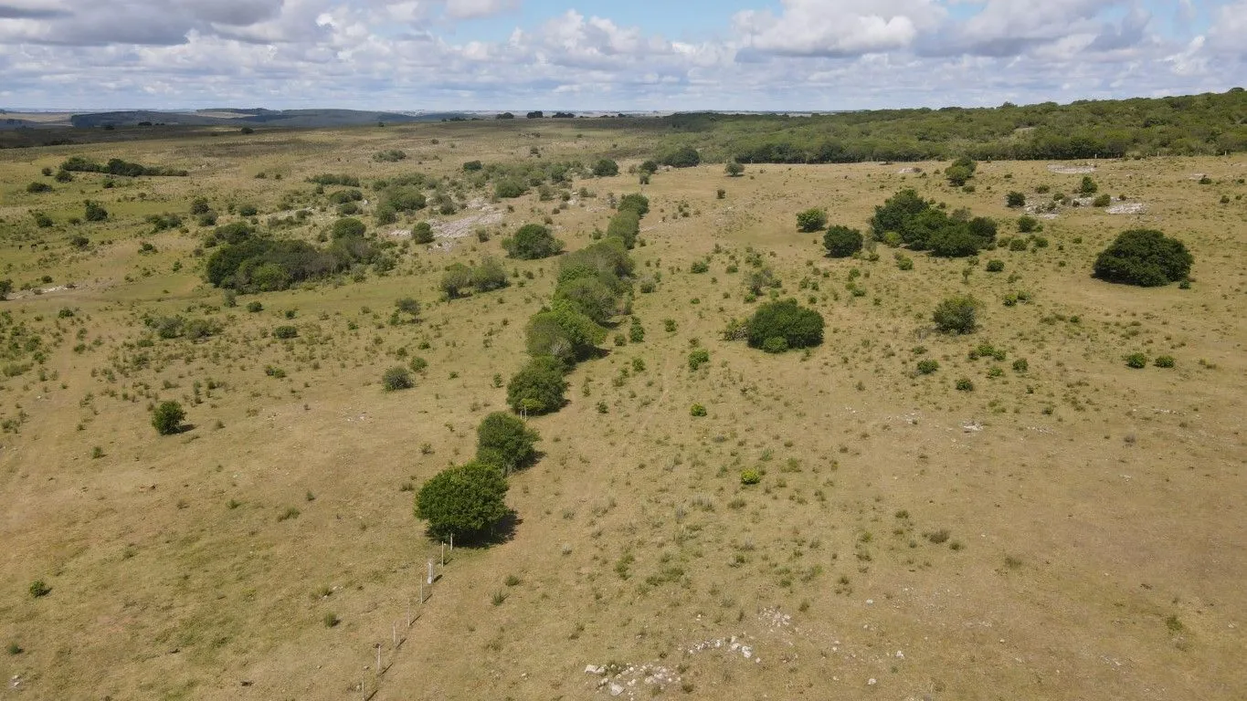 Campo de 1800ha  con casco antiguo Lavalleja — foto 5