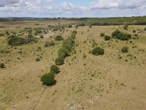 Campo de 1800ha  con casco antiguo Lavalleja — foto 5