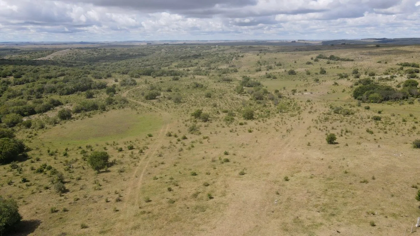 Campo de 1800ha  con casco antiguo Lavalleja — foto 6