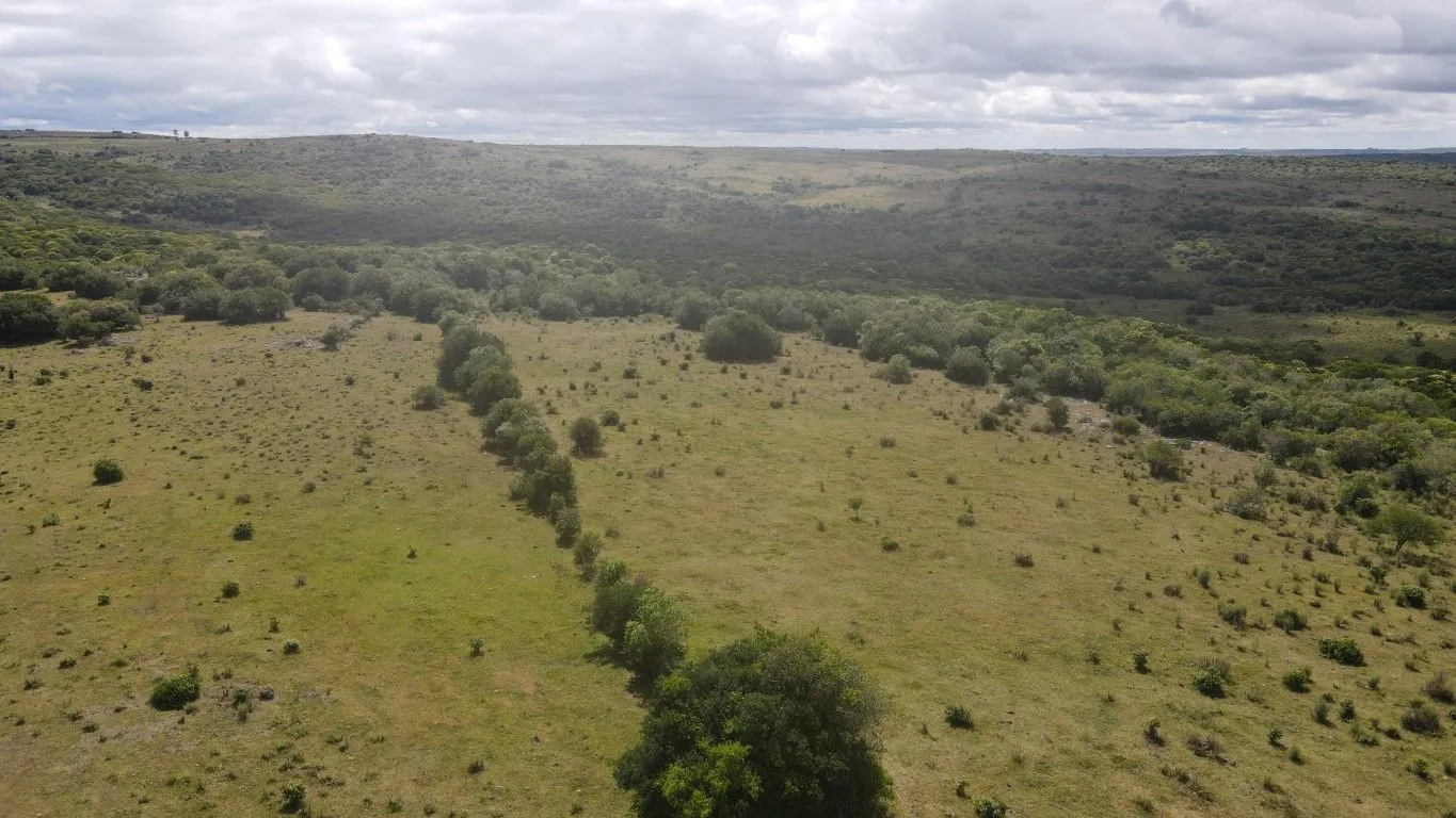 Campo de 1800ha  con casco antiguo Lavalleja — foto 7