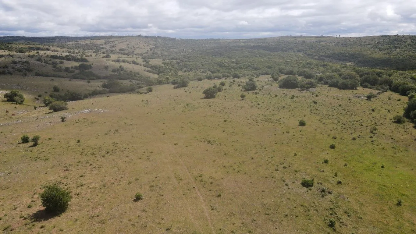 Campo de 1800ha  con casco antiguo Lavalleja — foto 8