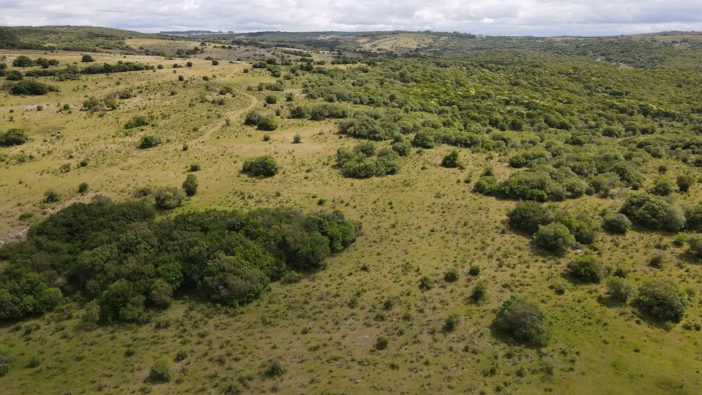 Campo de 1800ha  con casco antiguo Lavalleja — foto 9