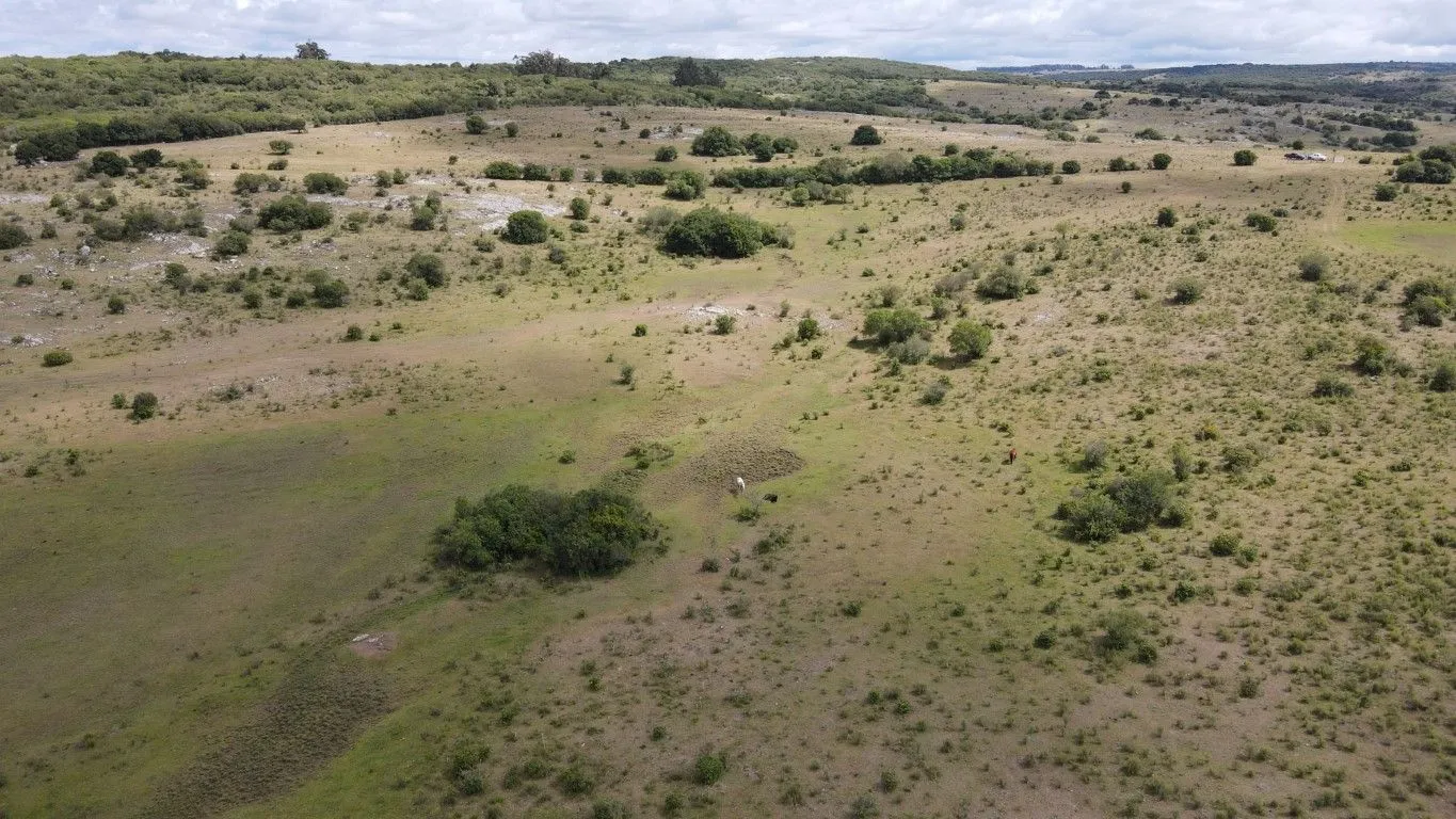 Campo de 1800ha  con casco antiguo Lavalleja — foto 10