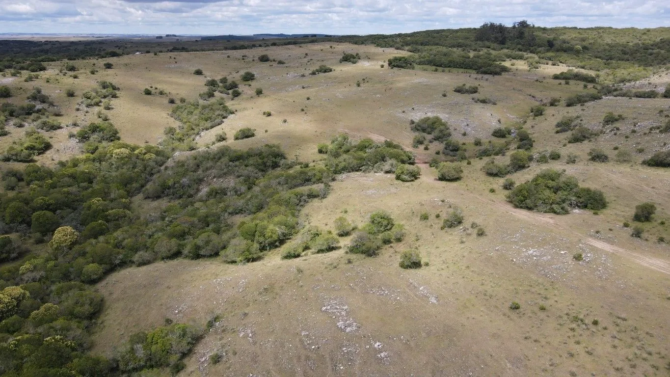 Campo de 1800ha  con casco antiguo Lavalleja — foto 11