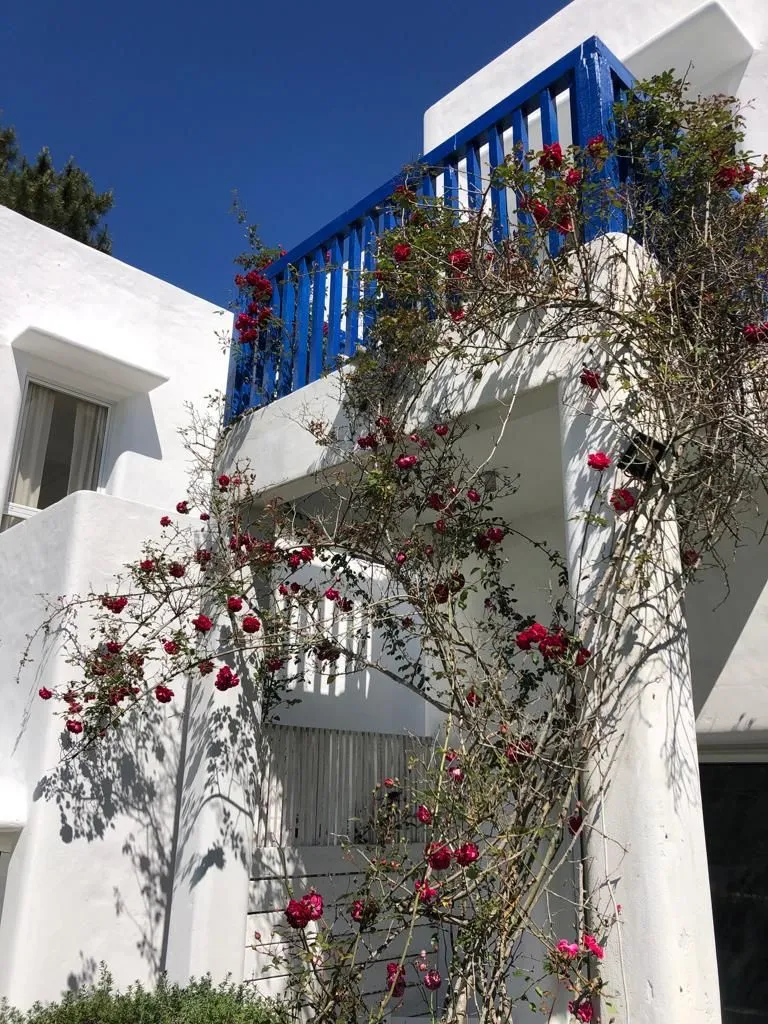 Venta Hotel Boutique - La Barra — foto 28
