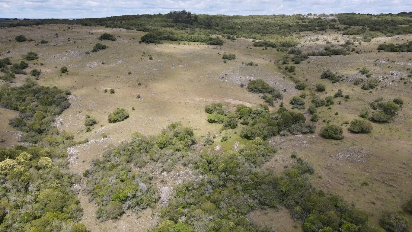 Campo de 1800ha  con casco antiguo Lavalleja — foto 12