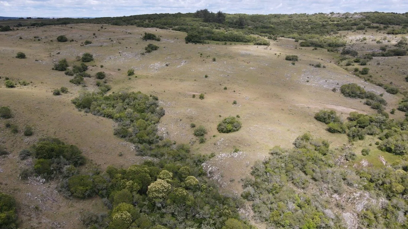 Campo de 1800ha  con casco antiguo Lavalleja — foto 13