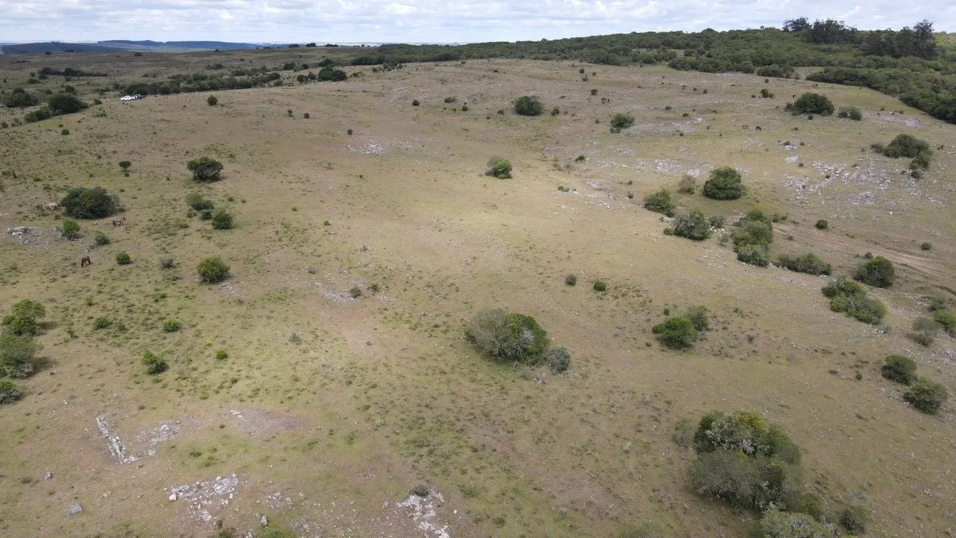 Campo de 1800ha  con casco antiguo Lavalleja — foto 14