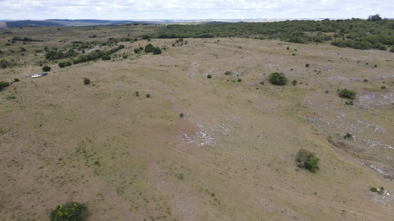 Campo de 1800ha  con casco antiguo Lavalleja — foto 15