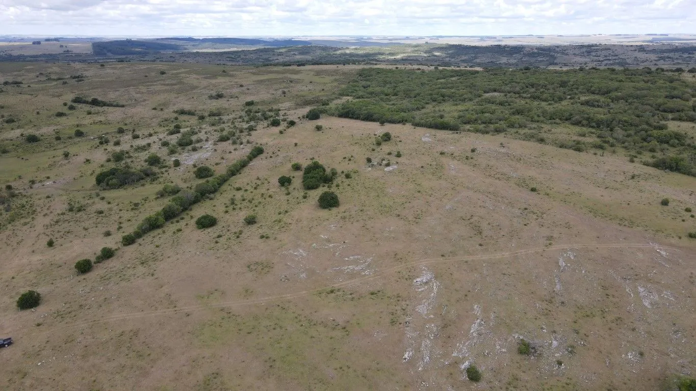 Campo de 1800ha  con casco antiguo Lavalleja — foto 16