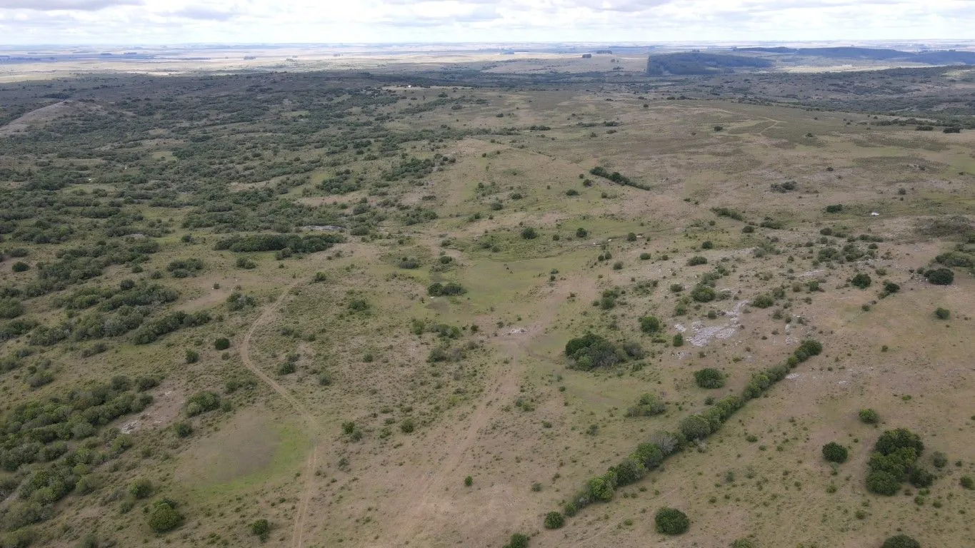 Campo de 1800ha  con casco antiguo Lavalleja — foto 17