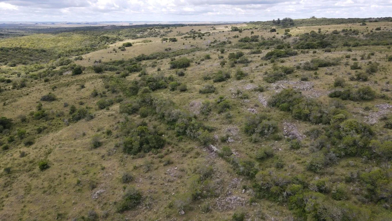 Campo de 1800ha  con casco antiguo Lavalleja — foto 18