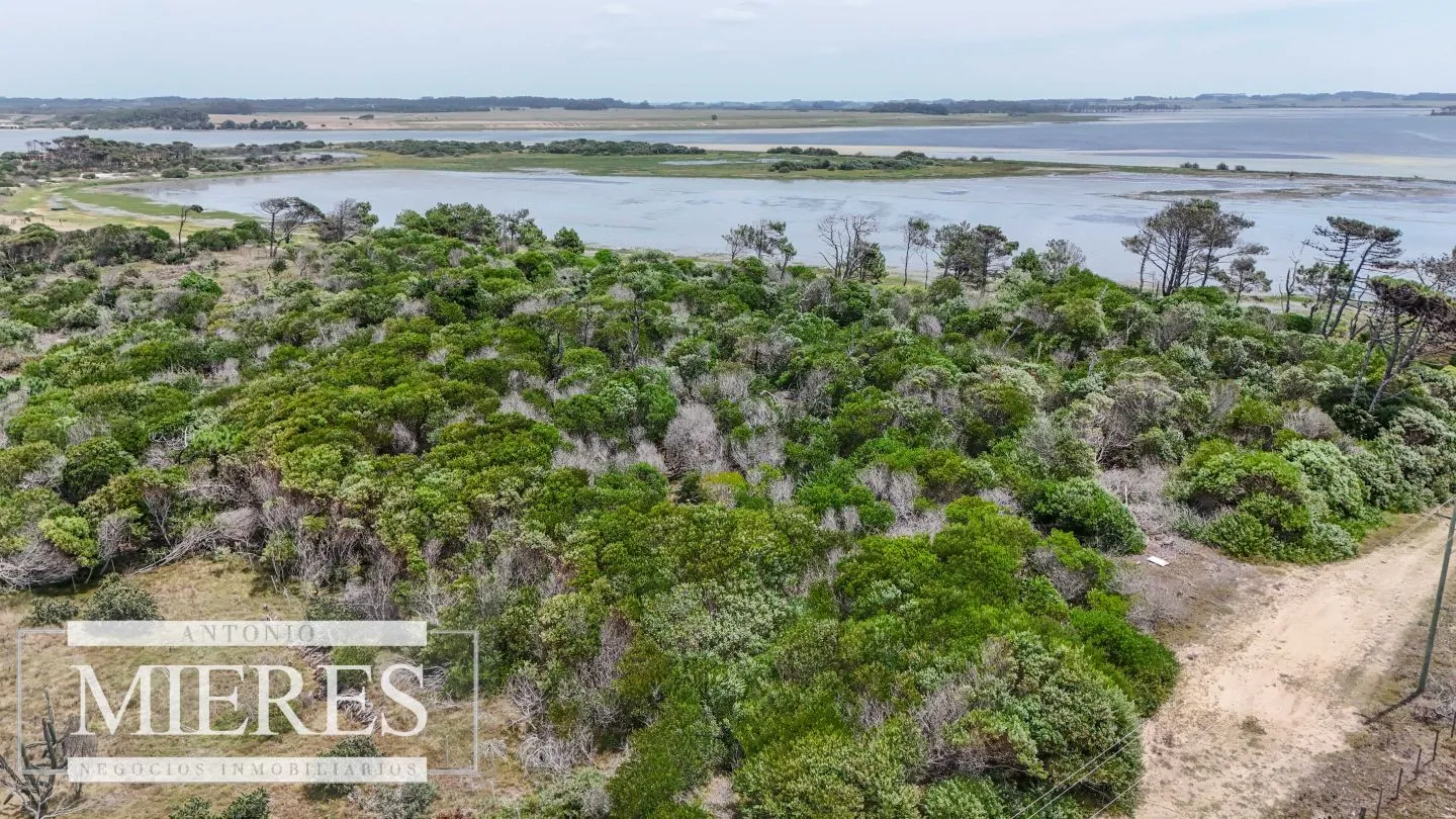 Venta de lote 1239m2 en El caracol a cuadra del mar y laguna — foto 4