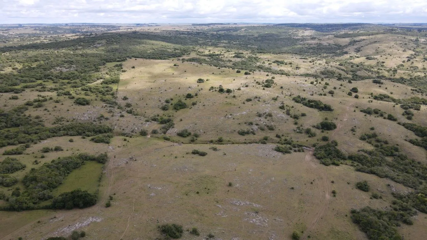 Campo de 1800ha  con casco antiguo Lavalleja — foto 19
