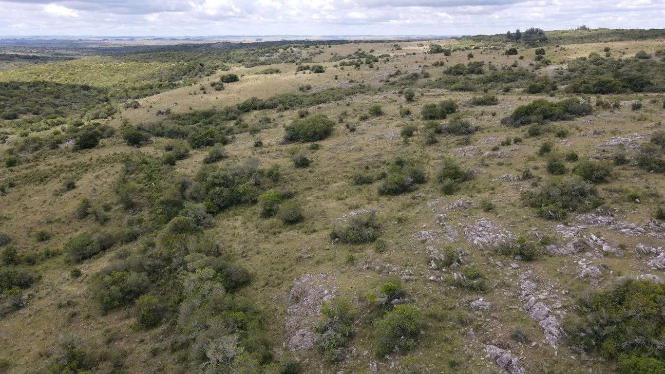 Campo de 1800ha  con casco antiguo Lavalleja — foto 20