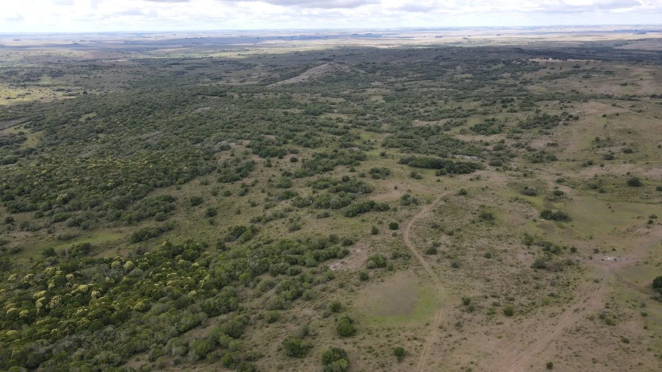 Campo de 1800ha  con casco antiguo Lavalleja — foto 21