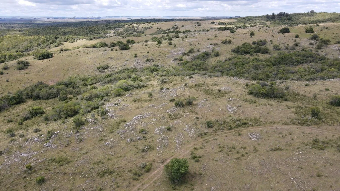 Campo de 1800ha  con casco antiguo Lavalleja — foto 22