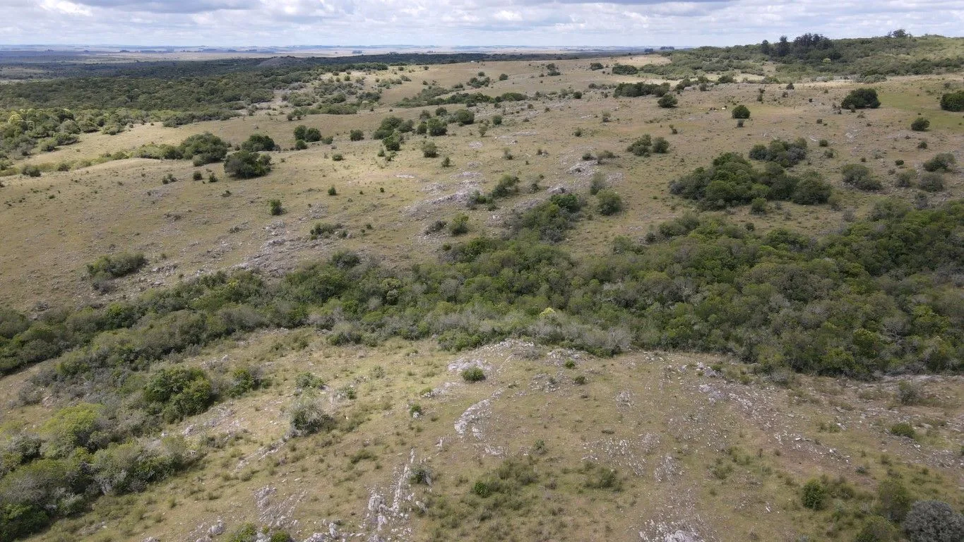 Campo de 1800ha  con casco antiguo Lavalleja — foto 23