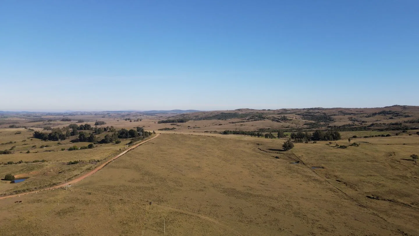 Chacra de 11.5ha en Maldonado con vista a las Sierras — foto 8