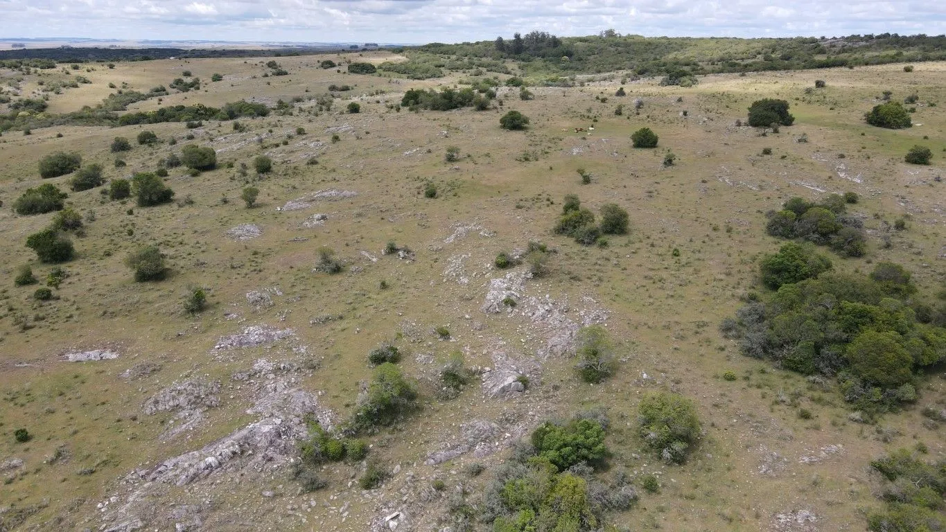 Campo de 1800ha  con casco antiguo Lavalleja — foto 24