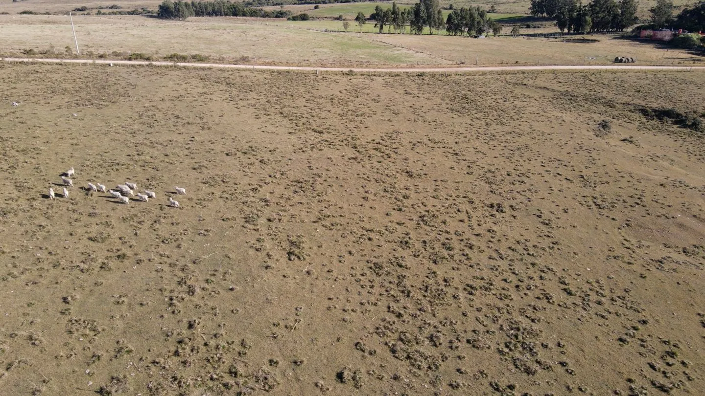 Chacra de 11.5ha en Maldonado con vista a las Sierras — foto 10