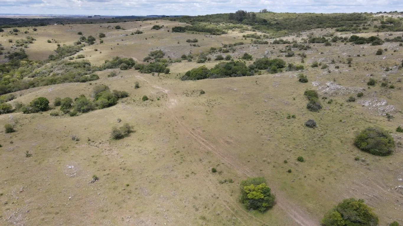 Campo de 1800ha  con casco antiguo Lavalleja — foto 25